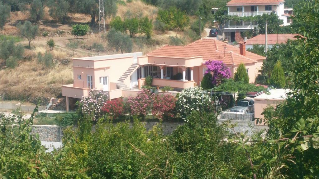 Apartamento Guest'S House "Lindi&Roni" Ulcinj Habitación foto